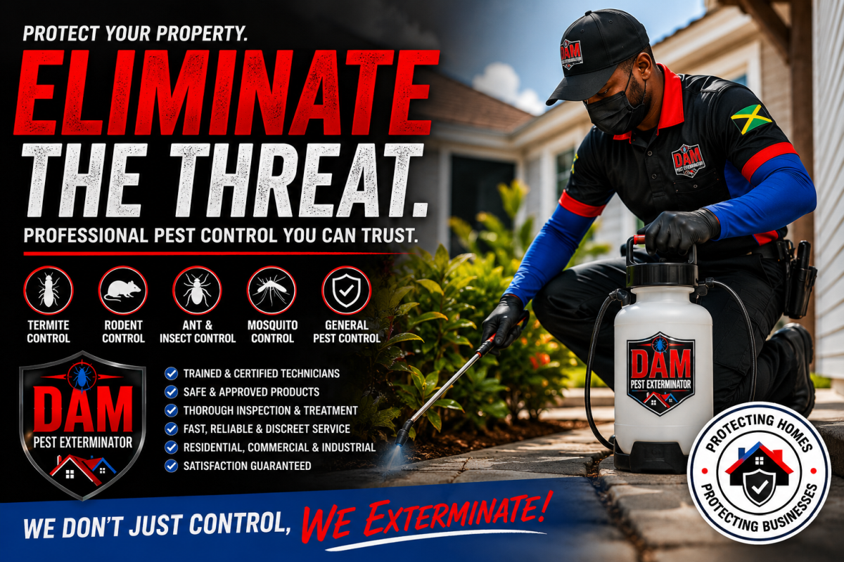 Protect Your Property with Professional Pest Control Services